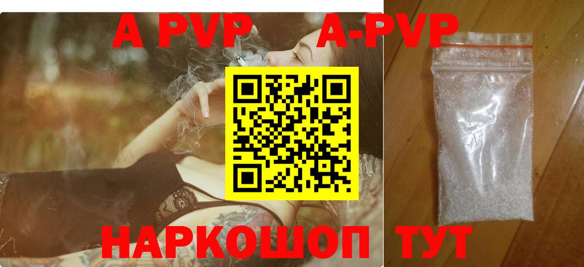 Alfa_PVP СК КРИС Буйнакск